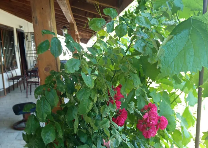 Veranda Raia поморие Kamenar (Burgas)